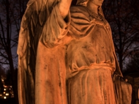 IMGP8875 (Medium)