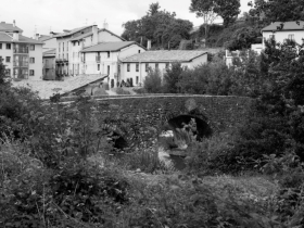 IMGP0419 (Medium)