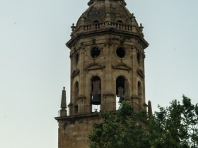IMGP0516 (Medium)