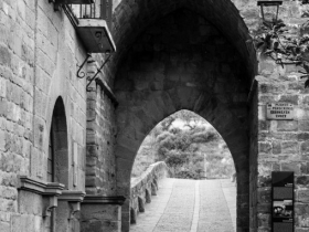 IMGP0527 (Medium)