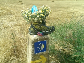 IMAG0652