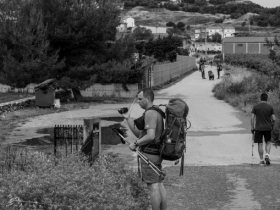 IMGP0634 (Medium)