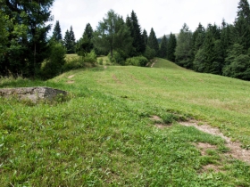 IMGP7427 (Medium)