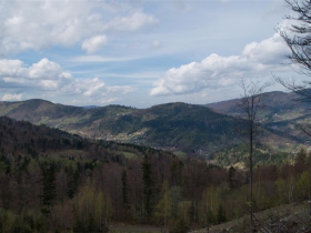 untitled-3395 (Medium)