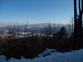 IMGP6575 (Medium)