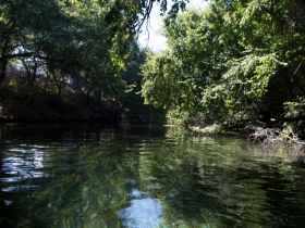IMGP5101 (Medium)