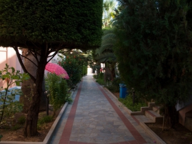 IMGP5709 (Medium)