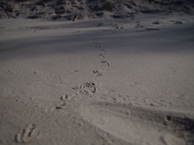 IMGP3200