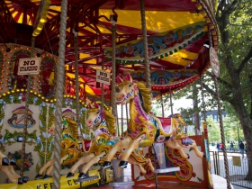 IMGP8373 (Medium)