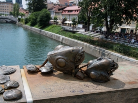 IMGP7307 (Medium)