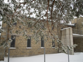 IMGP6847 (Medium)