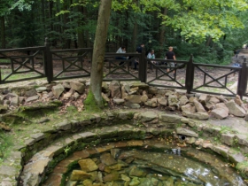 IMGP4907 (Medium)