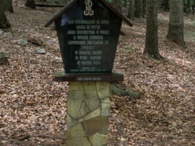 IMGP4908 (Medium)