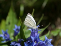 IMGP1621