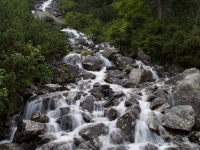 IMGP1707