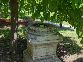 IMGP4003 (Medium)