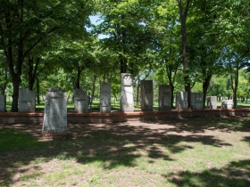 IMGP4004 (Medium)
