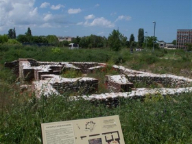IMGP4022 (Medium)