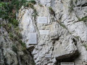 IMGP7480 (Medium)