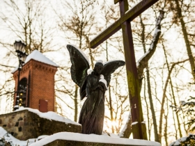IMGP9387 (Medium)