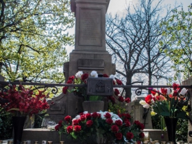 IMGP6884 (Medium)