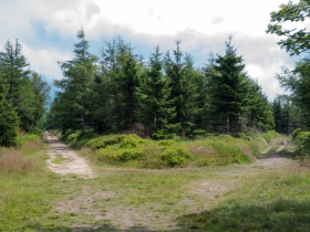 IMGP8000 (Medium)