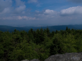 IMGP8009 (Medium)