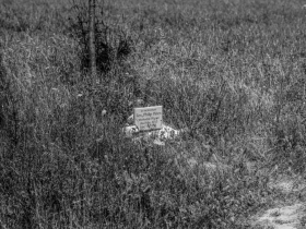 IMGP0987 (Medium)
